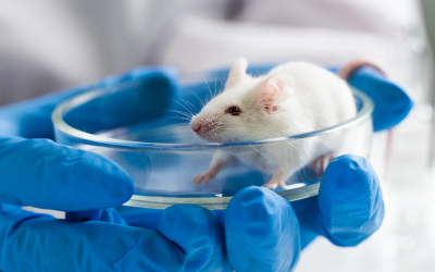 Productos del Seminario: Presente y futuro de la investigación con animales